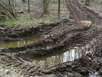 Rückespuren im Naturschutzgebiet (April 2012) – Schaffung von Pfützenbiotopen für Lurche?